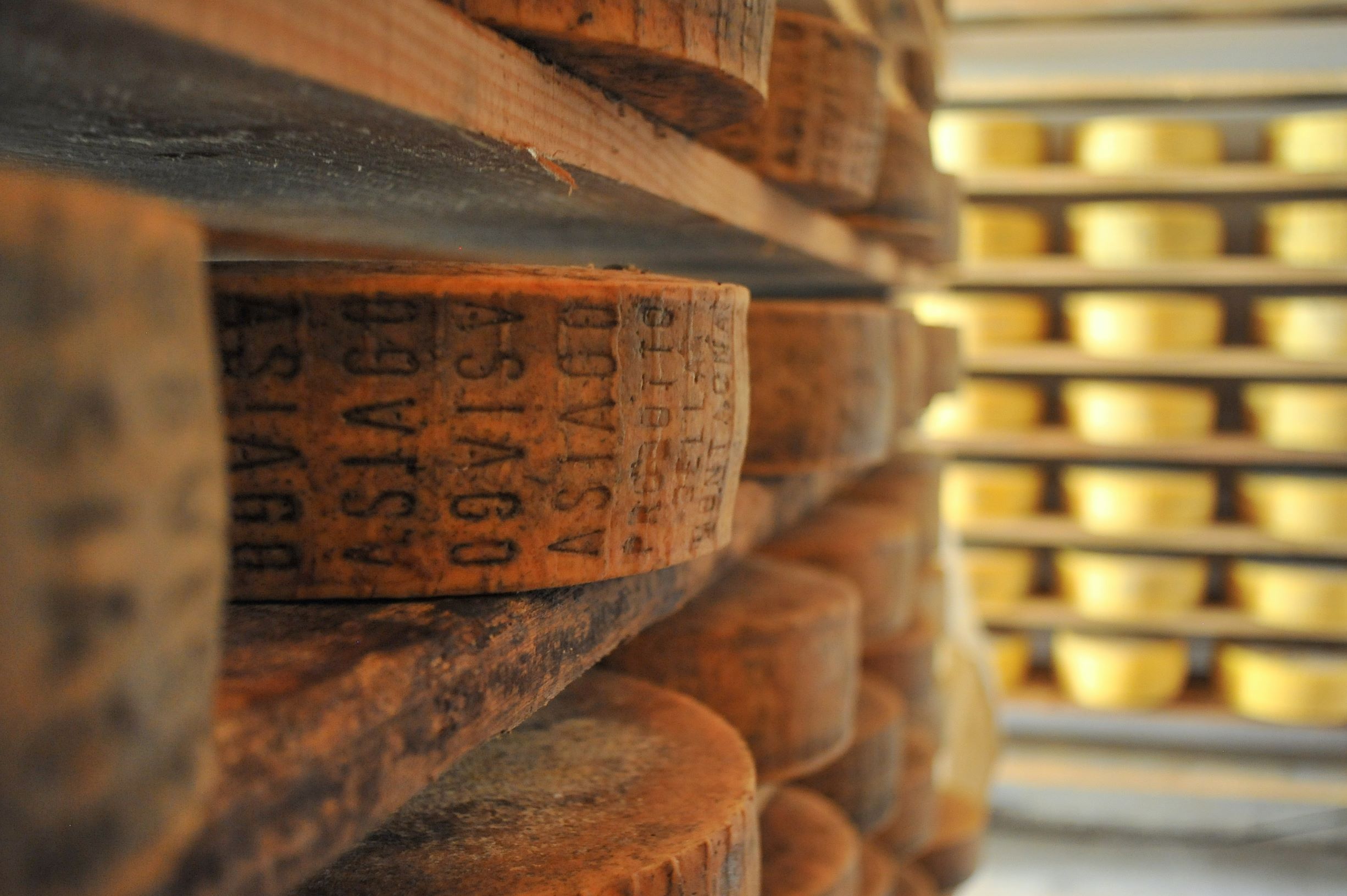 Formaggio Asiago