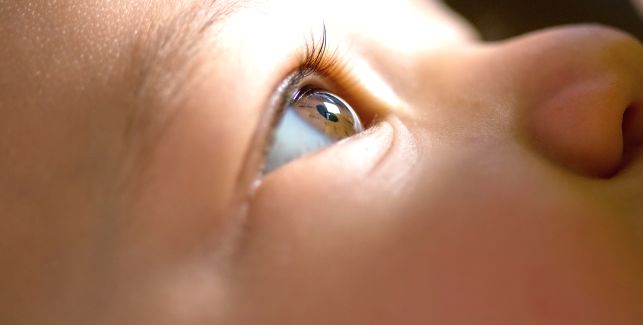 Dieci consigli per prendersi cura della vista dei bambini