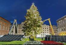 "Pannellotto", l'albero di Natale in piazza Venezia a Roma