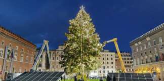 "Pannellotto", l'albero di Natale in piazza Venezia a Roma
