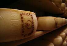 TURISMO | Asiago DOP Prodotto della Montagna volano di crescita del territorio Asiago DOP