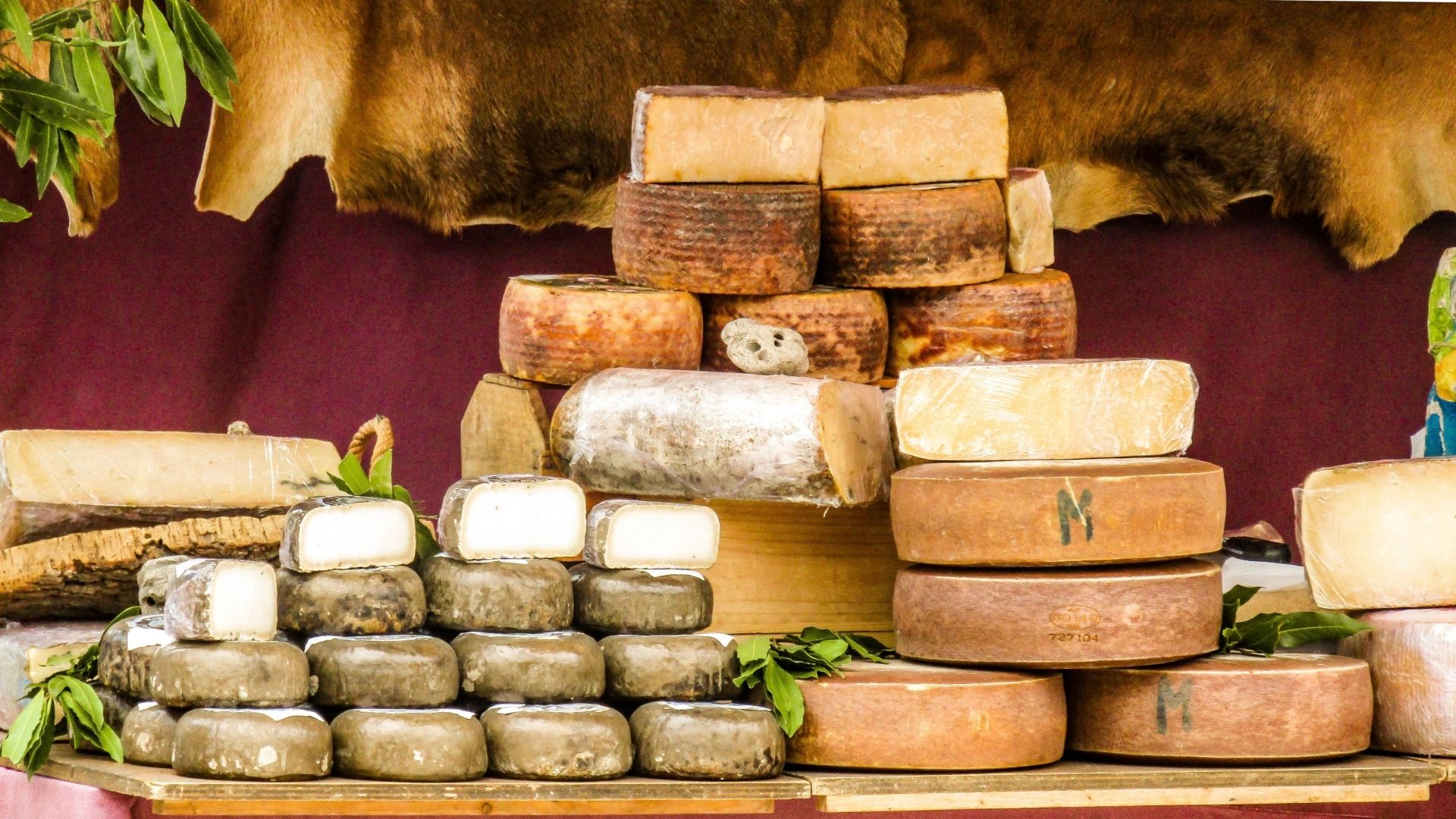 Formaggi Alte Terre piemontesi
