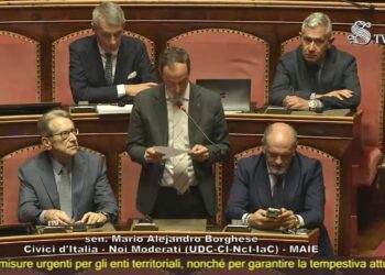 Sen. Mario Borghese, MAIE