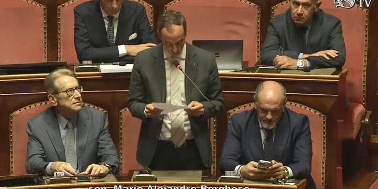 Sen. Mario Borghese, MAIE