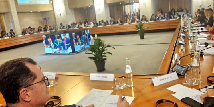 Italiani all’estero, Porta (Pd): “Rafforzare le relazioni tra Italia e America Latina”