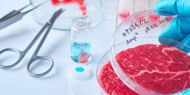 Carne sintetica
