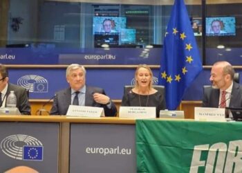 Italiani nel mondo, prima Assemblea Fi presso il Parlamento Europeo