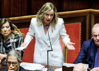 UCRAINA | Patuanelli (M5S): “Qual è la vera Meloni? Abbia il coraggio di dire la verità”