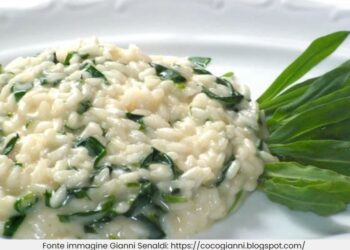 Ricetta tipica bresciana del risotto al Virzulì