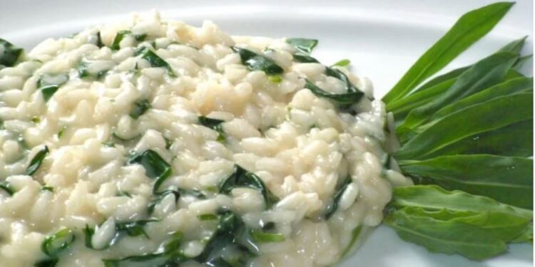 Ricetta tipica bresciana del risotto al Virzulì