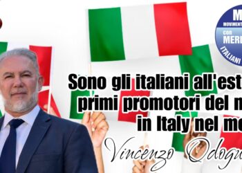 Vincenzo Odoguardi, vicepresidente MAIE