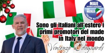 Vincenzo Odoguardi, vicepresidente MAIE