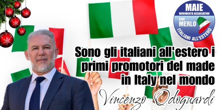 Vincenzo Odoguardi, vicepresidente MAIE
