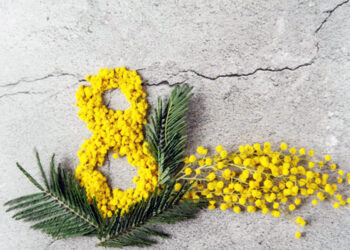 8 marzo Festa della Donna