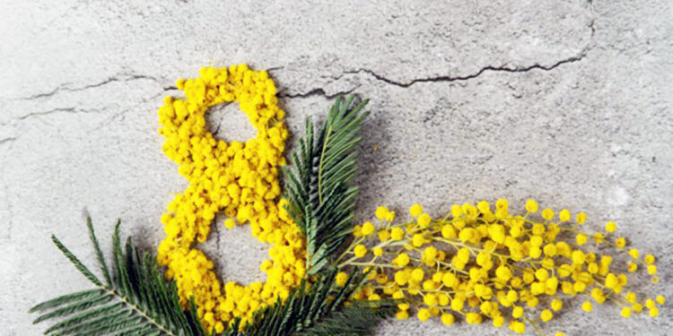 8 marzo Festa della Donna