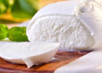 Mozzarella di Bufala Campana DOP