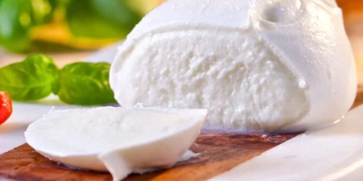Mozzarella di Bufala Campana DOP