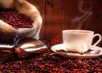 REPUBBLICA DOMINICANA | Nel periodo 2020-2023 esportazioni di caffè per 75 milioni di dollari