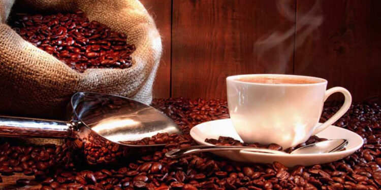 REPUBBLICA DOMINICANA | Nel periodo 2020-2023 esportazioni di caffè per 75 milioni di dollari