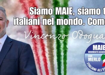 Vincenzo Odoguardi, vicepresidente MAIE