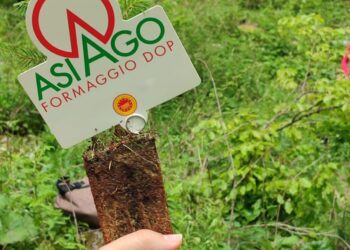 DAL DIRE AL FARE | Asiago DOP scende in campo per il pianeta