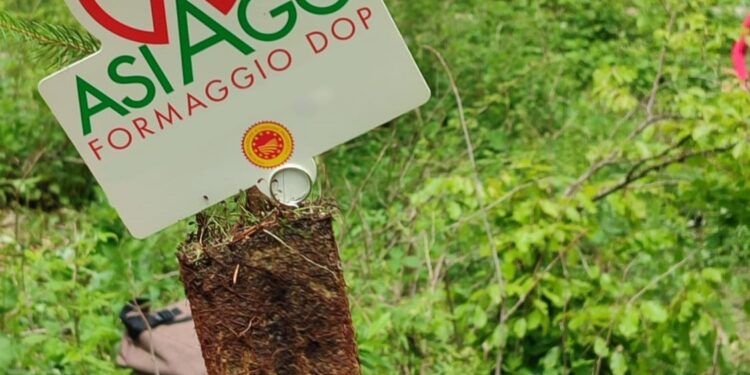 DAL DIRE AL FARE | Asiago DOP scende in campo per il pianeta