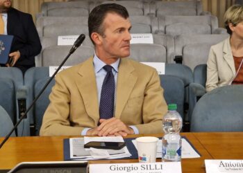 CGIE | Silli: “L’assistenza agli italiani all’estero è una priorità assoluta”