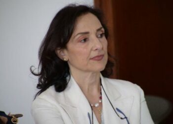 Maria Candida Imburgia, Presidente della II Commissione tematica del CGIE