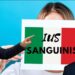 Cittadinanza e italiani all'estero, Ricardo Merlo sulla riforma Tajani