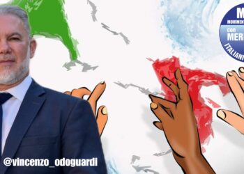 Vincenzo Odoguardi, vicepresidente MAIE