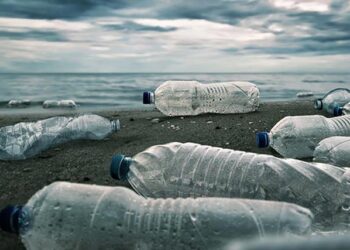 REPUBBLICA DOMINICANA | Plastica per zaini scolastici, raccolti oltre 7,2 milioni di bottigliette