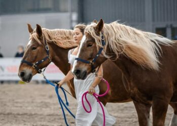 Fieracavalli presenta il mondo equestre al G7 Agricoltura e Pesca di Ortigia