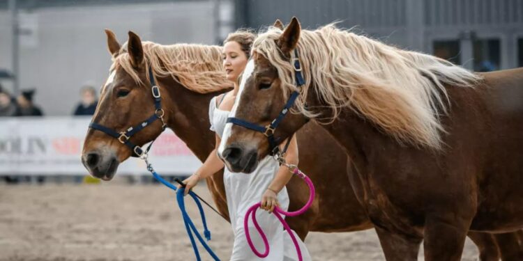 Fieracavalli presenta il mondo equestre al G7 Agricoltura e Pesca di Ortigia