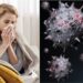 Influenza Australiana