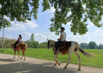 Fieracavalli, passeggiata a cavallo a Verona