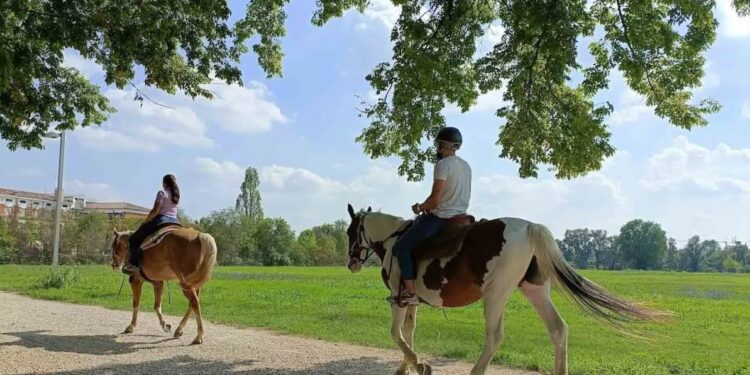 Fieracavalli, passeggiata a cavallo a Verona