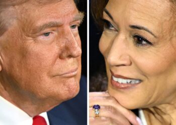 Usa 2024, Trump Harris