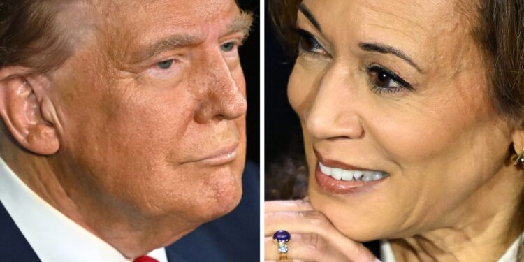 Usa 2024, Trump Harris