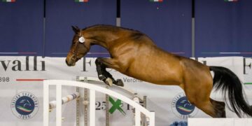 Fieracavalli