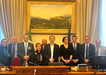 Italiani nel mondo, Porta (Pd) incontra il CGIE: “Impegno su cittadinanza e voto all’estero”
