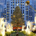 NATALE | Origini italiane per l’albero del Rockefeller Center di New York