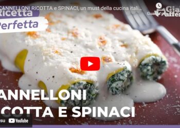 Cannelloni, ricetta
