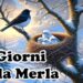 METEO | Giorni della Merla senza freddo: temperature sopra la media