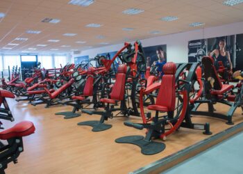 Panatta gym
