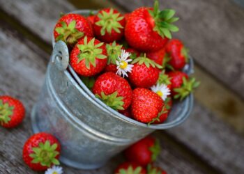 Ottimizzare la Produzione di Fragole: Strategie di Nutrizione per Agricoltori