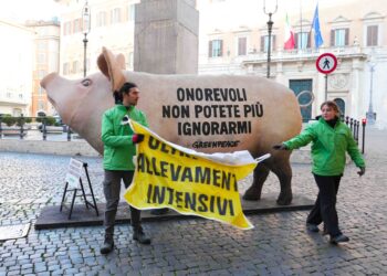 PROPOSTA CONTRO ALLEVAMENTI INTENSIVI | Maiale gigante di Greenpeace davanti al Parlamento