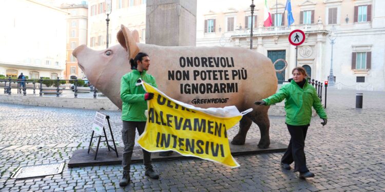 PROPOSTA CONTRO ALLEVAMENTI INTENSIVI | Maiale gigante di Greenpeace davanti al Parlamento