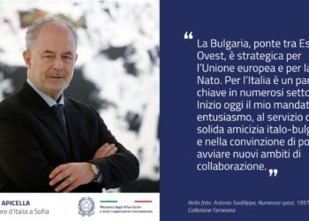 Marcello Apicella