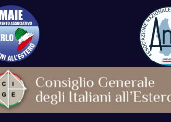 CGIE, Consiglio Generale Italiani all'Estero: MAIE - ANFE
