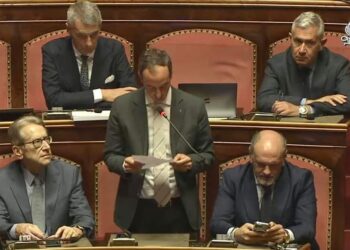 Sen. Mario Borghese, MAIE